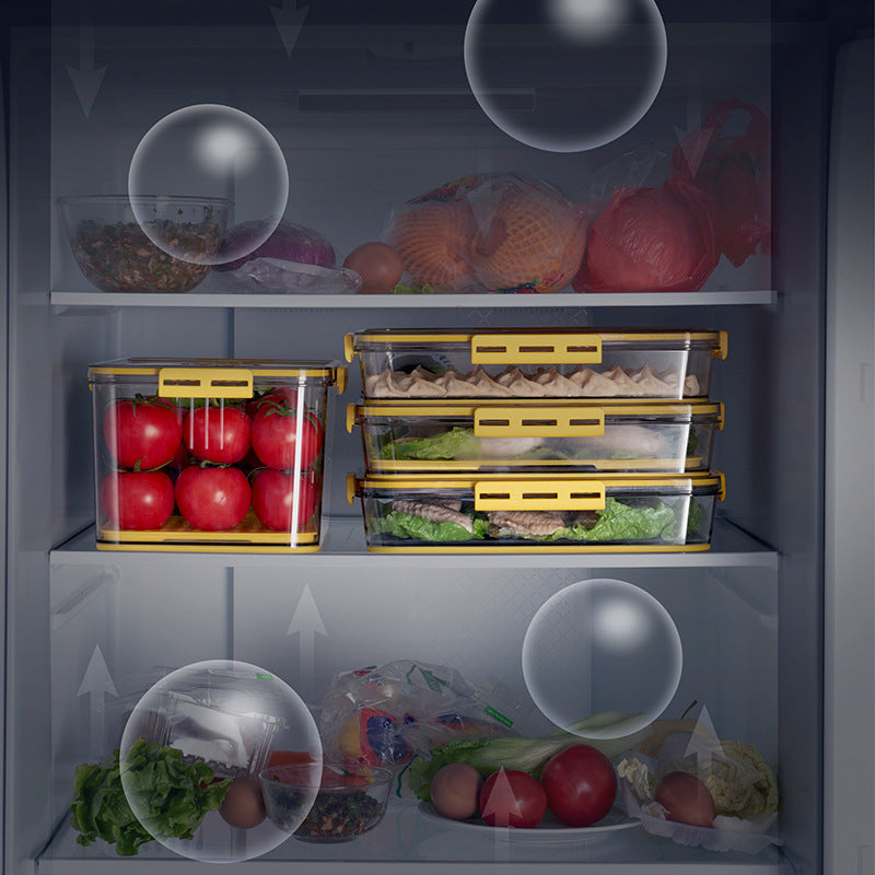 Refrigerator Storage Box Plastic Kitchen Sorting Timing Frozen Food Grade Pet Sealed Large Capacity Transparent Preservation